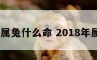 2018属兔什么命 2018年属啥命