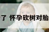 孕妇树断了 怀孕砍树对胎儿的影响