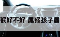 孩子属猴好不好 属猴孩子属什么好
