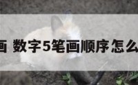 数字5笔画 数字5笔画顺序怎么写的视频