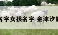 金沫什么名字女孩名字 金沫汐的个人资料