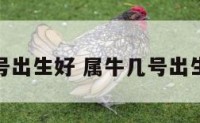 属牛几号出生好 属牛几号出生好男孩