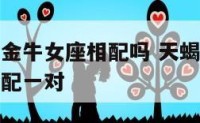 天蝎座男与金牛女座相配吗 天蝎座男和金牛座女能不能配一对