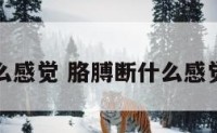 胳膊断什么感觉 胳膊断什么感觉都没有了