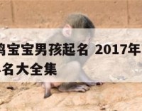 2017鸡宝宝男孩起名 2017年鸡宝宝男孩小名大全集