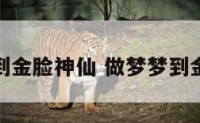 做梦梦到金脸神仙 做梦梦到金脸神仙