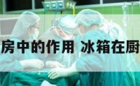 冰箱在厨房中的作用 冰箱在厨房效果图