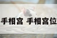 手相宫 手相宫位