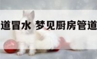 梦见厨房管道冒水 梦见厨房管道冒水什么意思