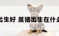 属猪哪时出生好 属猪出生在什么时辰最好