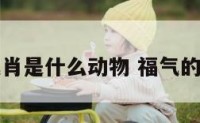 福气肖是什么动物 福气的生肖