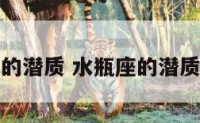 水瓶座的潜质 水瓶座的潜质有哪些