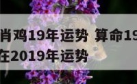 69年生肖鸡19年运势 算命1969年属鸡的人在2019年运势