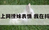 抖音我在上网撩妹表情 我在抖音撩妹子