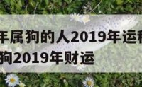 1982年属狗的人2019年运程 1982年属狗2019年财运