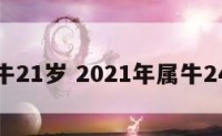 属牛21岁 2021年属牛24岁