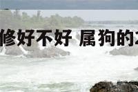 明年属狗装修好不好 属狗的2021年可以装修房