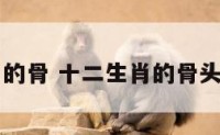 十二生肖的骨 十二生肖的骨头有什么用