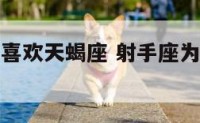 射手为什么喜欢天蝎座 射手座为啥和天蝎座互相吸引