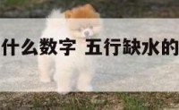 五行缺水要什么数字 五行缺水的最吸财的数字组合