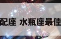 水瓶座最佳配座 水瓶座最佳配对排行榜