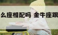 金牛座和什么座相配吗 金牛座跟什么星座配对