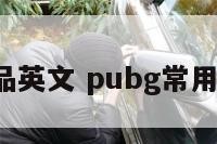 pubg物品英文 pubg常用英语词汇