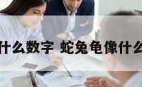 蛇兔龟像什么数字 蛇兔龟像什么数字一样