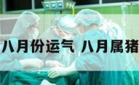 属猪的八月份运气 八月属猪人运势