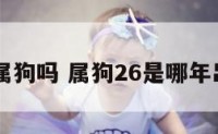 26是属狗吗 属狗26是哪年出生的