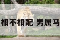 男属马女属虎相不相配 男属马女属虎相克吗