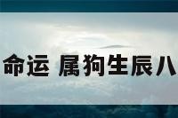 属狗生辰与命运 属狗生辰八字命运解析
