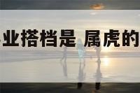 属虎的最忌事业搭档是 属虎的人工作中和那个属相不合
