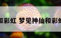 梦见神仙和彩虹 梦见神仙和彩虹什么意思