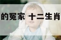 十二生肖猴子的冤家 十二生肖猴子的冤家是什么