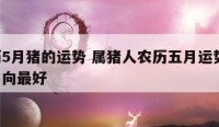 农历5月猪的运势 属猪人农历五月运势,哪个方向最好
