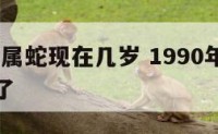 1990年属蛇现在几岁 1990年属蛇现在几岁了