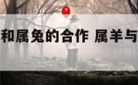 属羊与属鸡和属兔的合作 属羊与属鸡和属兔的合作好吗