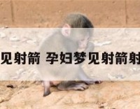 孕妇梦见射箭 孕妇梦见射箭射中别人