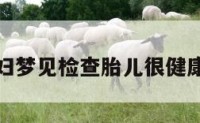 关于孕妇梦见检查胎儿很健康的信息