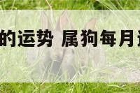 属狗每月份的运势 属狗每月运势2021年运势