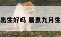 属鼠的九月出生好吗 属鼠九月生人命好不好
