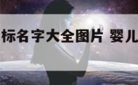 婴儿食品商标名字大全图片 婴儿食品国家字号标志