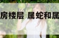 属蛇和属马买房楼层 属蛇和属马选哪个楼层好