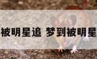 梦到被明星追 梦到被明星追杀