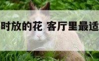 客厅可以同时放的花 客厅里最适合放了四种花