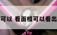 看面相还可以 看面相可以看出生男女吗