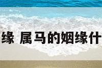 属马的姻缘 属马的姻缘什么时候到