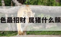 属猪什么颜色最招财 属猪什么颜色最招财运