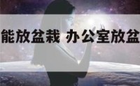 办公室能不能放盆栽 办公室放盆栽放什么花比较好